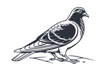 Pigeon Line Art Vector Illustration