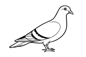 Pigeon Line Art Vector Illustration