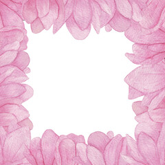 Frame Pink magnolia. Collection magnolia flowers on an isolated white background, watercolor floral design elements.  Flowers set with Magnolia flowers. Pink flower