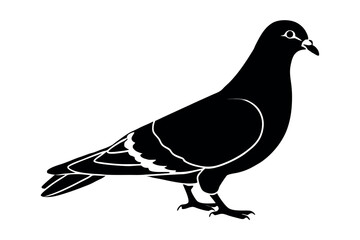 Pigeon Line Art Vector Illustration