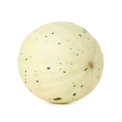 One fresh ripe melon isolated on white