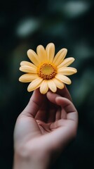 Hand holding a vibrant yellow flower against a dark background in a calming setting
