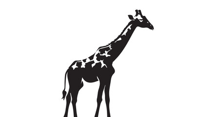 Giraffe silhouette isolated on white. Vector illustration. Giraffe Silhouette. Animal silhouette. 