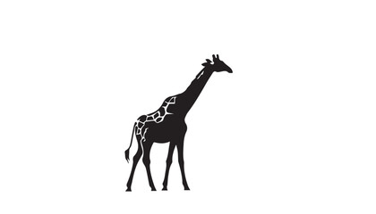 Giraffe silhouette isolated on white. Vector illustration. Giraffe Silhouette. Animal silhouette. 