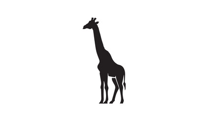 Fototapeta premium Giraffe silhouette isolated on white. Vector illustration. Giraffe Silhouette. Animal silhouette. 