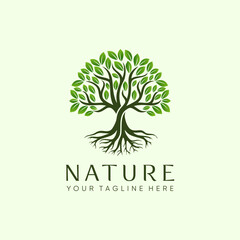 Tree of life logo, mangrove logo, botanic, tree logo design template vector