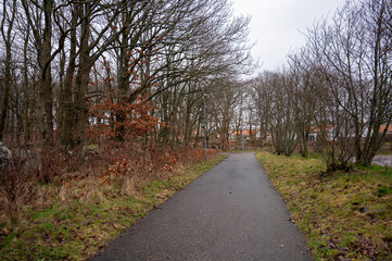A quiet path meanders through a tranquil wooded area, lined with leafless trees and sparse foliage. The atmosphere is calm, with a soft gray sky overhead, typical of early winter