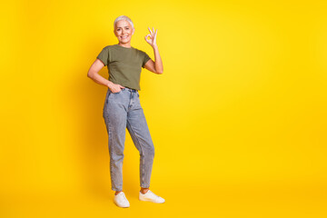 Naklejka premium Full length photo of shiny attractive lady dressed khaki t-shirt showing okey empty space isolated yellow color background