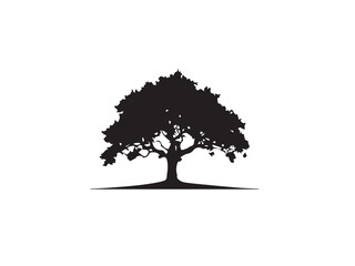 Fototapeta premium Black tree Silhouette on white background. Black and white tree vector silhouette. Vector illustration. 