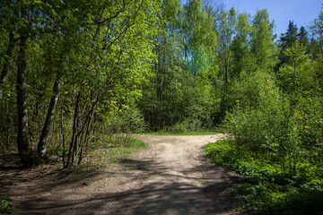 Fototapeta premium Path inside the forest. Yukki village.