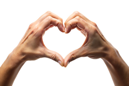 Two hands forming a heart shape on white background PNG transparent.