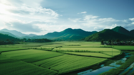 Fototapeta premium Aerial Top View Photography of Natural Rice Field Landscape with Sky and Lush Green Fields