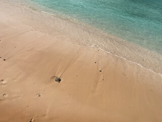 Caribbean Beach Shore at Grand Turk