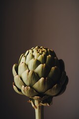 Obraz premium Close-up of a fresh artichoke against a neutral background.