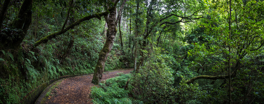Levada da Serra do Faial, Madeira