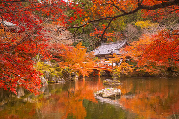 Autumn at daigoji temple with colorful of maple trees in autumn season at Kyoto ,Japan