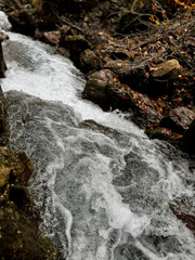mountain river autumn rapids trees. High quality photo