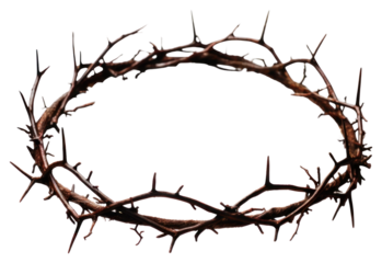PNG Crown of Thorns wire white background accessories.