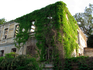 Abandoned stonebrick building with damage, overgrown by vegetation No recent human activity,...