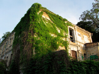 An abandoned brickstone building overtaken by ivy and vegetation, with missing roof tiles, barred...