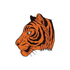 tiger head isolated