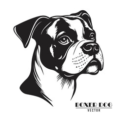 Boxer Dog Vector illustration, Boxer Dog Vector on White Background