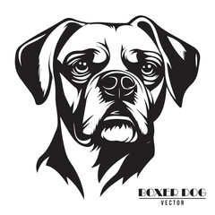 Boxer Dog Vector illustration, Boxer Dog Vector on White Background