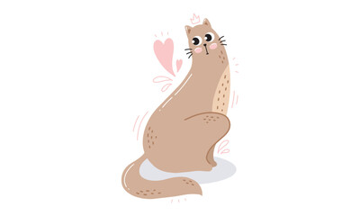 cat and mouse
