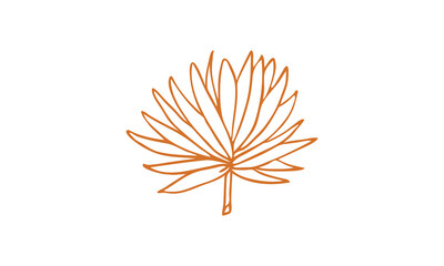 orange flower isolated on white background