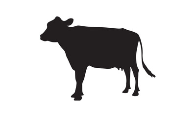 silhouette of a cow
