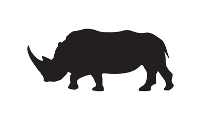 rhino illustration