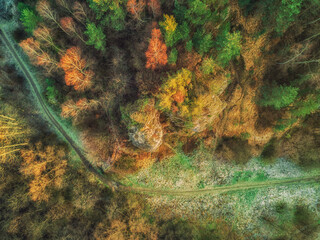 Las w dolinie Kobylańskiej © DRONE QUEST