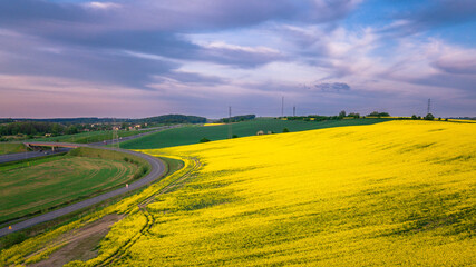 Ulica i rzepak © DRONE QUEST