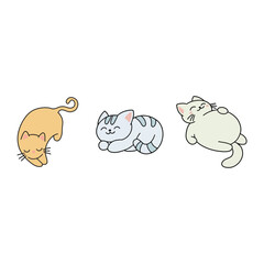 cat and mouse