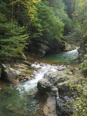 Waterfall in the forest. Beautiful nature of the Caucasus mountains.