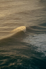 Naklejka premium waves in nazare