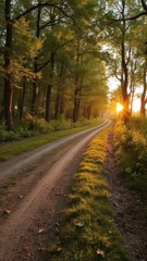 Obraz premium Wide race track winding through lush green woods at sunset, speed, nature