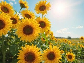 Fototapeta premium Vibrant summer landscape with bright sunflowers and sun rays, landscape, vibrant