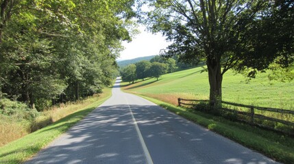 Fototapeta premium First-Person Country Road Composition Asphalt Path, Lush Greenscape, Summer Sunlight, Peaceful Drive, keyword1 nature photography, keyword2 scenic route, keyword3 landscape