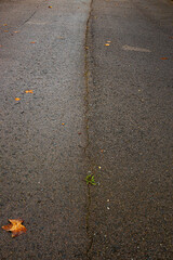 Vertical crack in a road after rainfall 