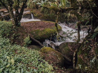 Rochas e cachoeira, natureza da serra da Mantiqueira.