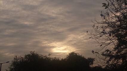 sunset in the forest