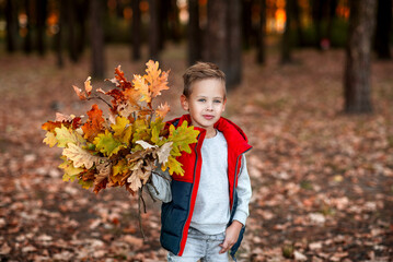 Little boy in the forest with leaves in hand