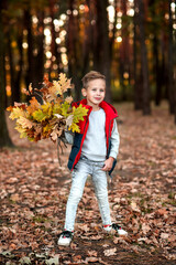 Little boy in the forest with leaves in hand
