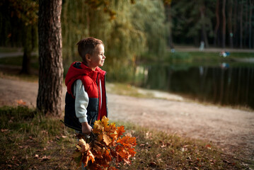 Little boy in the forest with leaves in hand
