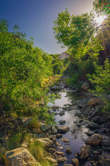 Serene Woodland Stream Bathed in Warm Sunlight Amid Lush Greenery and Rocks