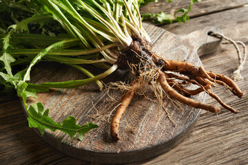 Whole dandelion plant with roots on a table. Herbal medicine.