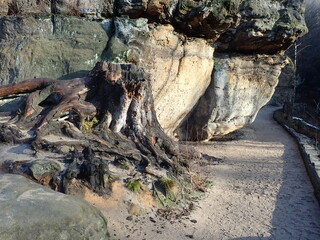 beautiful nature of bohemian switzerland national park