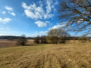 Obraz premium Rural Landsacpe