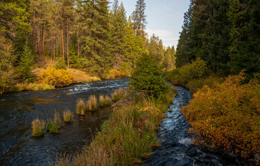 river in autumn forest
